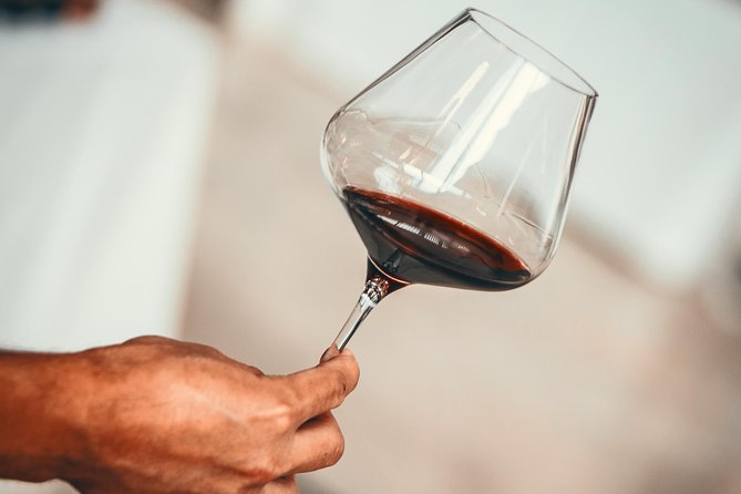 Medoc Region Wine Day Trip with Vineyard Visits & Tastings from Bordeaux - Key details that make this Médoc tour tick