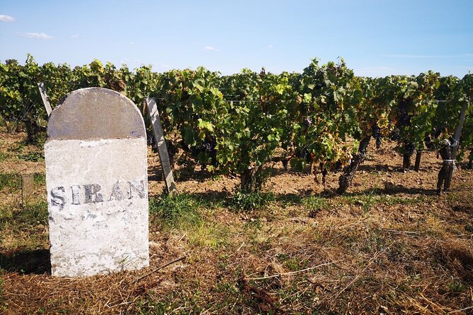 Medoc Region Wine Day Trip with Vineyard Visits & Tastings from Bordeaux - Final château stop: classified-growth or Crus Bourgeois finish