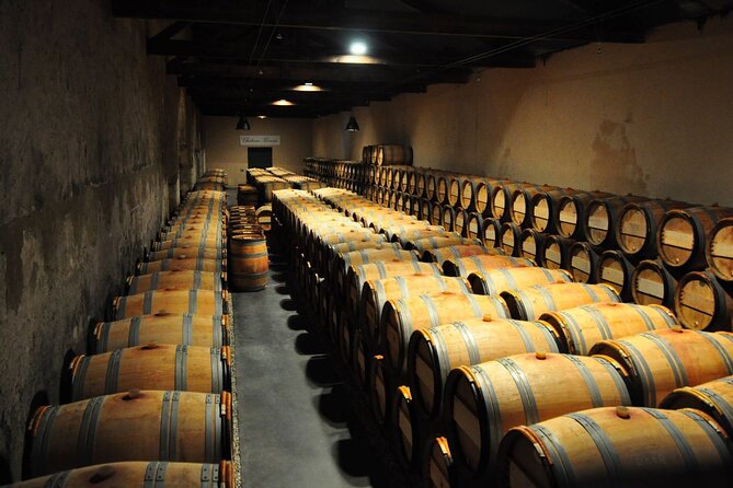 Medoc Region Wine Day Trip with Vineyard Visits & Tastings from Bordeaux - Transport comfort: air-conditioned minivan, small group, and a tight fit risk