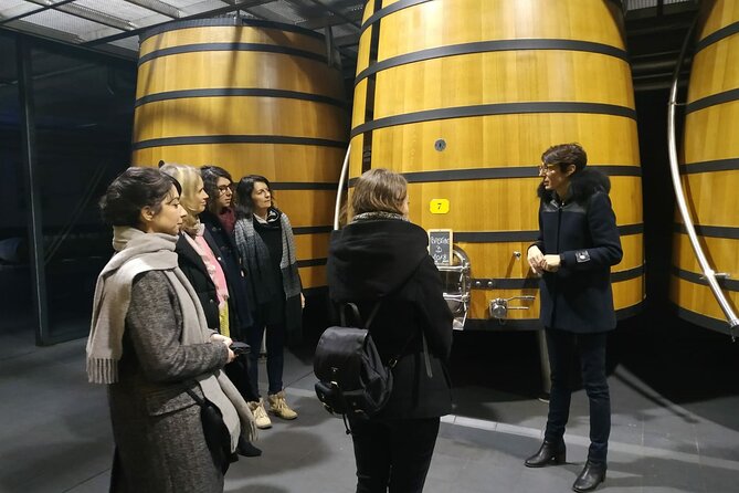 Medoc Region Wine Day Trip with Vineyard Visits & Tastings from Bordeaux - How the day flows: 3 châteaux plus real time in Pauillac
