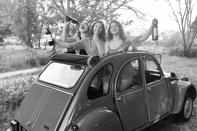 Private 2cv tour in the vineyards and Wine tasting - The optional picnic: local food, water and wine