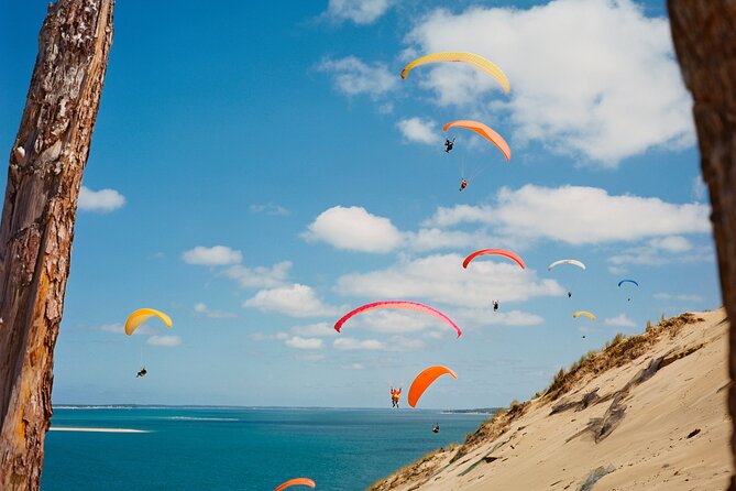 Private Arcachon Full-Day tour, from Bordeaux - Guided Arcachon Historical Center: Villas, Parks, and Getting Your Bearings