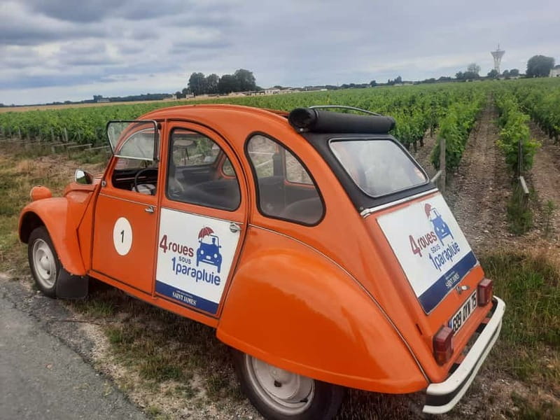 Private Half-Day Wine Tour in Citroën 2CV - Why a Citroën 2CV is the best way to see Bordeaux vineyards