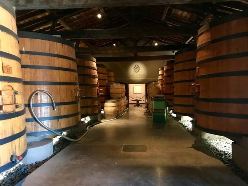Private Half-Day Wine Tour in Citroën 2CV - The 4.5-hour flow: what the day feels like in real life