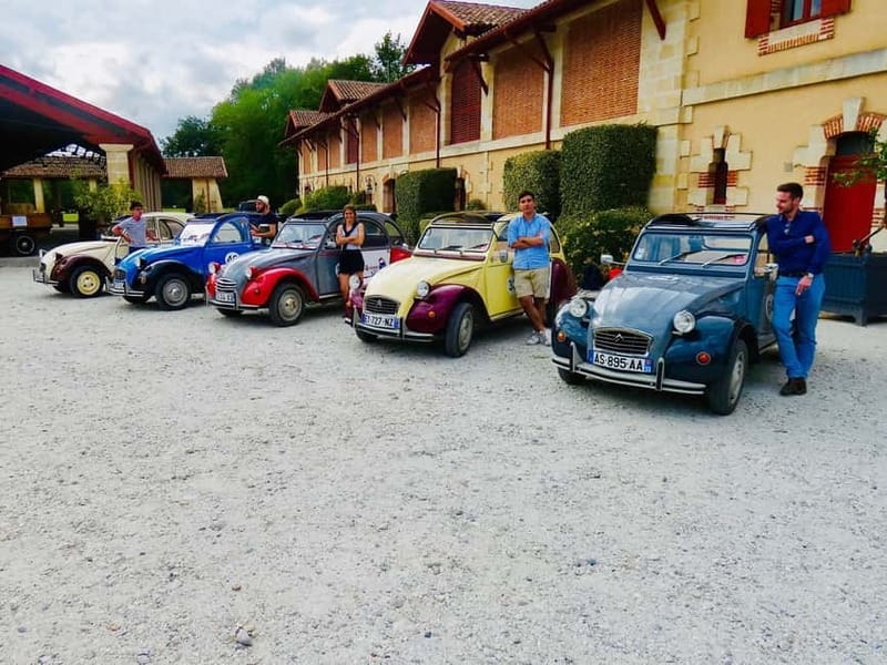 Private Half-Day Wine Tour in Citroën 2CV - The tastings: what you get (and how to make the most of them)