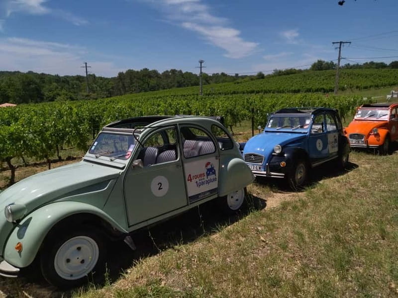 Private Half-Day Wine Tour in Citroën 2CV - Choosing your route: Médoc, Pessac-Léognan, or Saint-Emilion