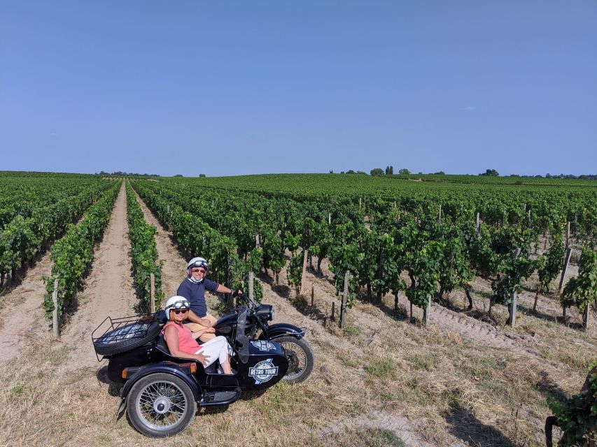 Private ride in the vineyards from Saint-Emilion - The vineyard ride: photo stops, quiet paths, and real views