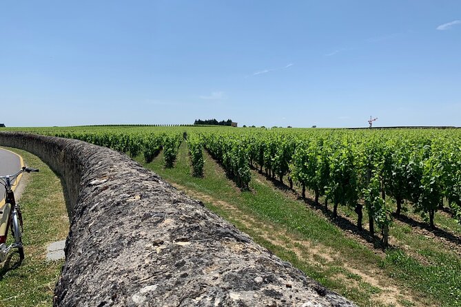 Saint-Emilion Afternoon Wine Tour - 2 Wineries & delicacies - The Drive That Turns Wine Trivia Into Real Context