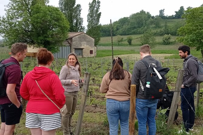 Saint-Emilion Afternoon Wine Tour - 2 Wineries & delicacies - Getting Value From $119.72: What You’re Actually Paying For