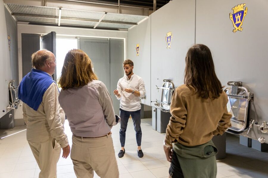 Saint-Émilion: Bordeaux Vineyard Tour and Wine Tasting - What You’ll Learn on the Vineyard Walk: Grapes, Soil, and a 5-Generation Story