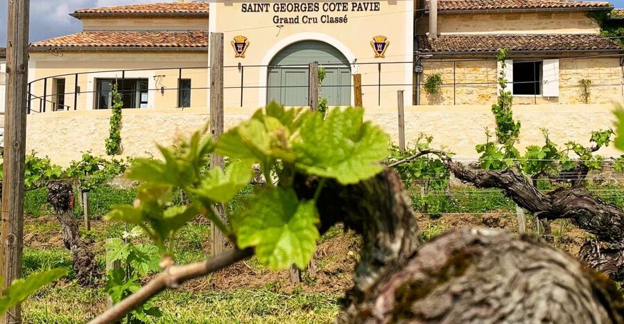 Saint-Émilion: Bordeaux Vineyard Tour and Wine Tasting - Cellar Visit at Château Saint-Georges: How Aging Shapes the Wine