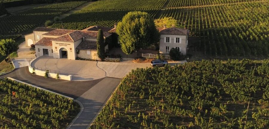 Saint-Émilion: Bordeaux Vineyard Tour and Wine Tasting - The Three-Wine Tasting: How to Taste Like You Mean It