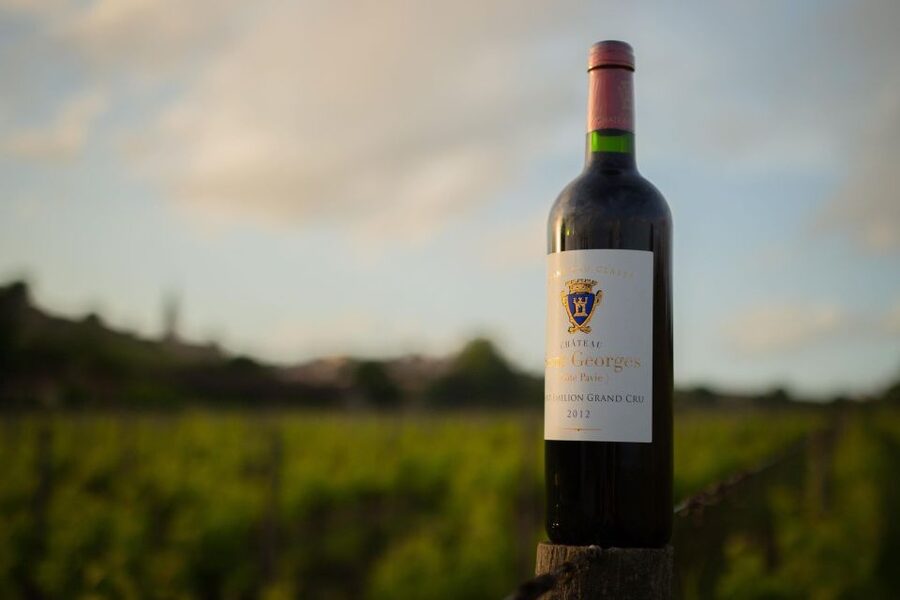 Saint-Émilion: Bordeaux Vineyard Tour and Wine Tasting - Group Size, Guides, and What You’re Really Paying For
