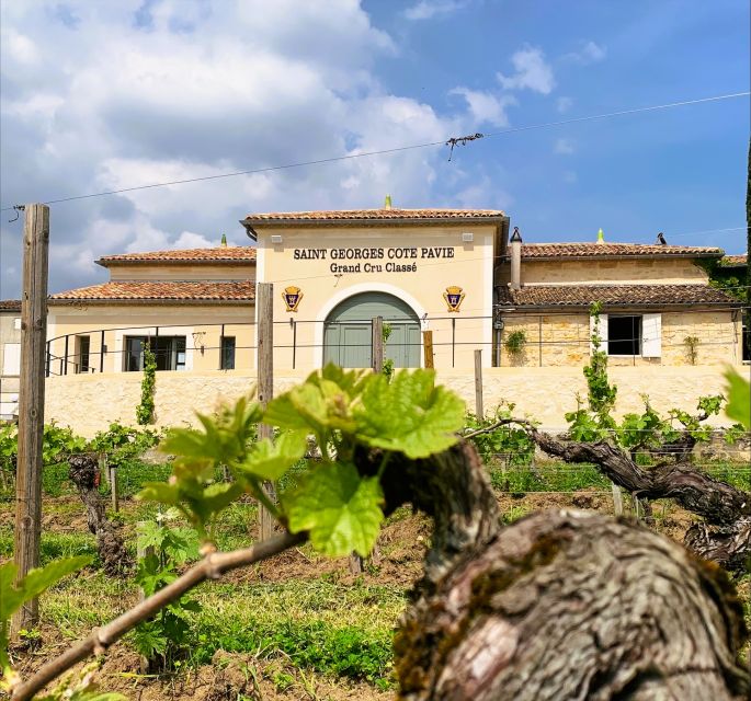 Saint-Émilion: Bordeaux Vineyard Tour and Wine Tasting - Should You Book Château Saint-Georges Côte Pavie?