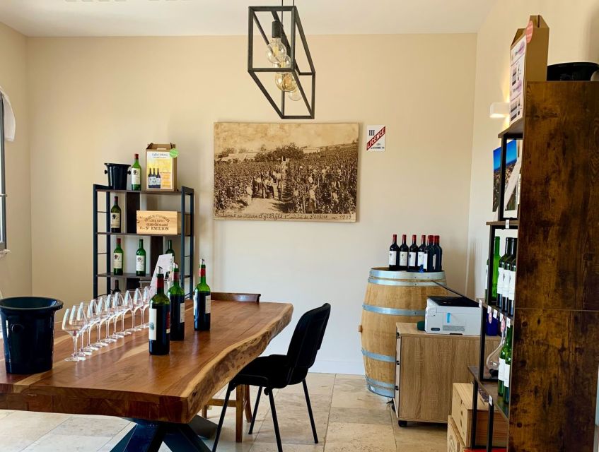 Saint-Émilion: Bordeaux Vineyard Tour and Wine Tasting - The 1-Hour Format and $21 Value That Actually Makes Sense