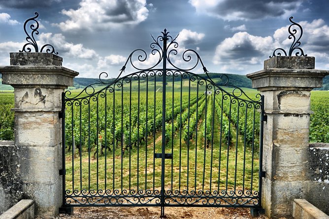Saint Emilion Day Trip with Sightseeing Tour & Wine Tastings from Bordeaux - Wine Tastings 101: How to Get More From Each Glass