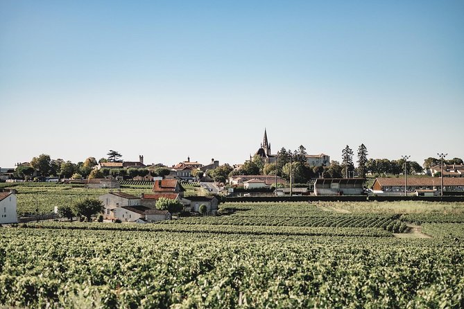 Saint-Emilion Electric Bike Day Tour with Wine Tastings & Lunch - Picnic lunch at the winery: the slow part of the day you’ll actually enjoy