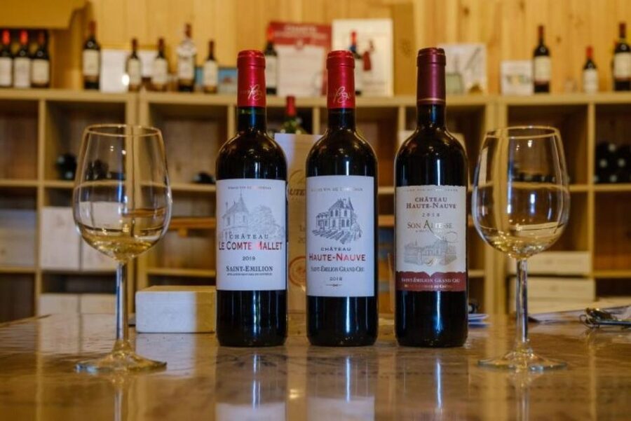 Saint-Émilion: Family Vineyard Visit with Wine Tasting - Key highlights you’ll remember