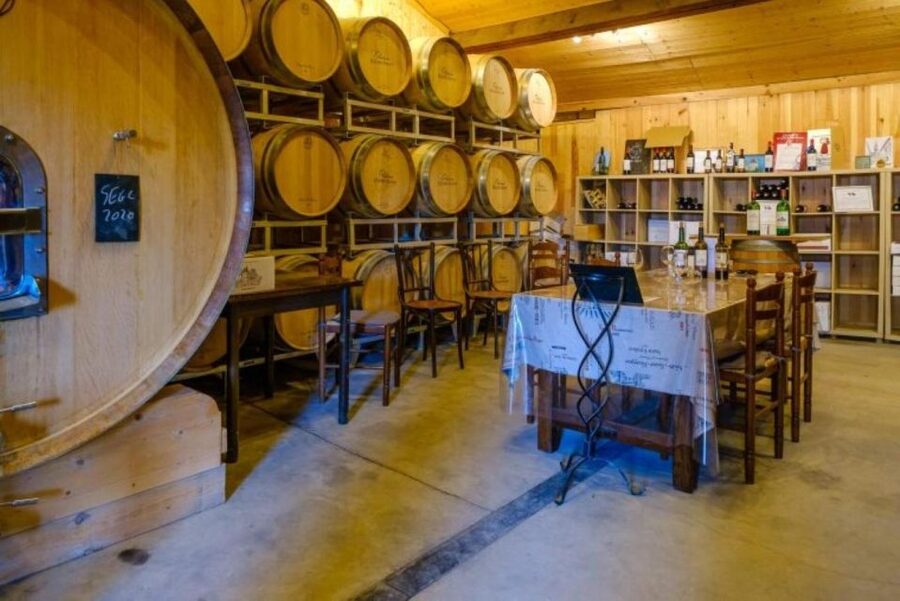 Saint-Émilion: Family Vineyard Visit with Wine Tasting - Buying and shipping your favorites so the tour stays with you