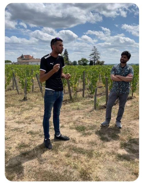 Saint-Émilion: Family Vineyard Visit with Wine Tasting - Price and value: is $18 worth it for a family-run cellar experience?