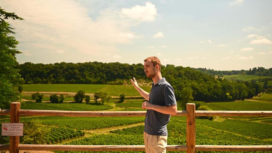 Saint-Emilion: Grand Cru Classé Gourmet Visit - The terrace moment: vineyard views that make the tasting click