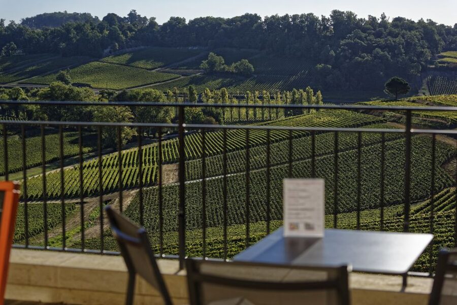 Saint-Emilion: Grand Cru Classé Gourmet Visit - The commented tasting: 3 wines, one clear learning path