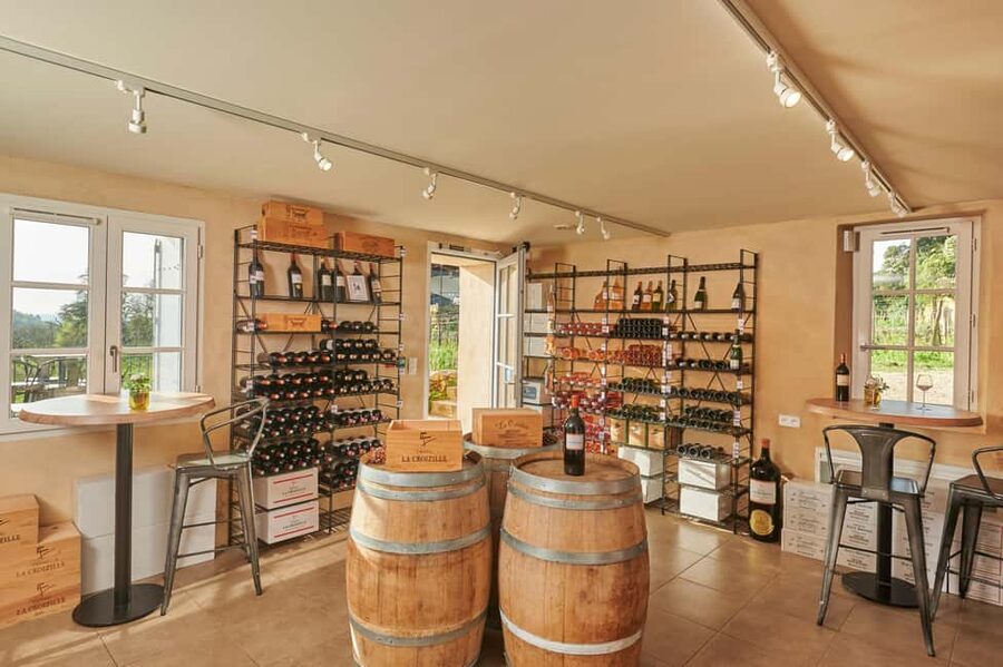 Saint-Emilion: Grand Cru Classé Gourmet Visit - Getting there without headaches: distance and transport reality