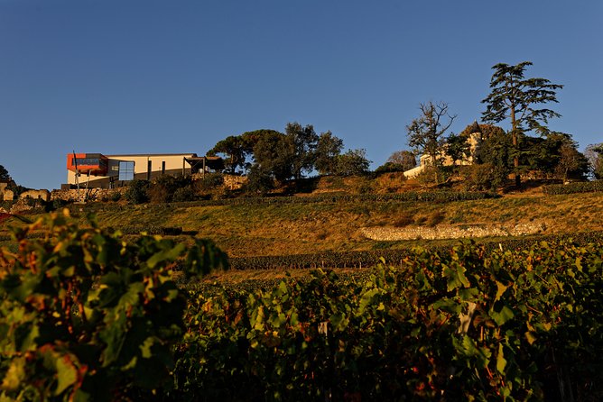 Saint-Emilion Grand Cru Classified: Picnic & Visit in French - Should You Book This Château Tour in Saint-Émilion?