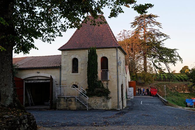 Saint-Emilion Grand Cru Classified: Visit & Tasting in French - Practical Tips So You Taste Better (Not Just More)