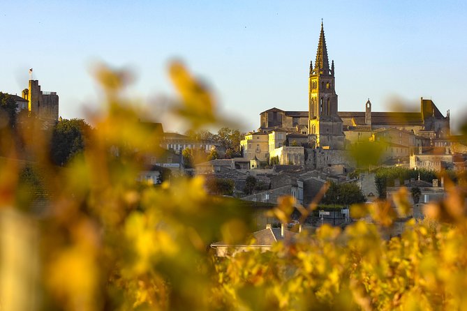 Saint Emilion Half-Day Trip with Wine Tasting & Winery Visit from Bordeaux - Bordeaux to Saint-Émilion: the ride that sets the tone
