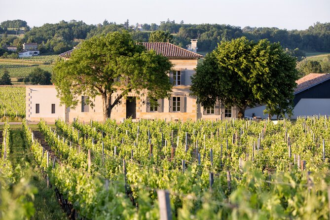 Saint Emilion Half-Day Trip with Wine Tasting & Winery Visit from Bordeaux - Snacks, timing, and comfort: small details that prevent big annoyances