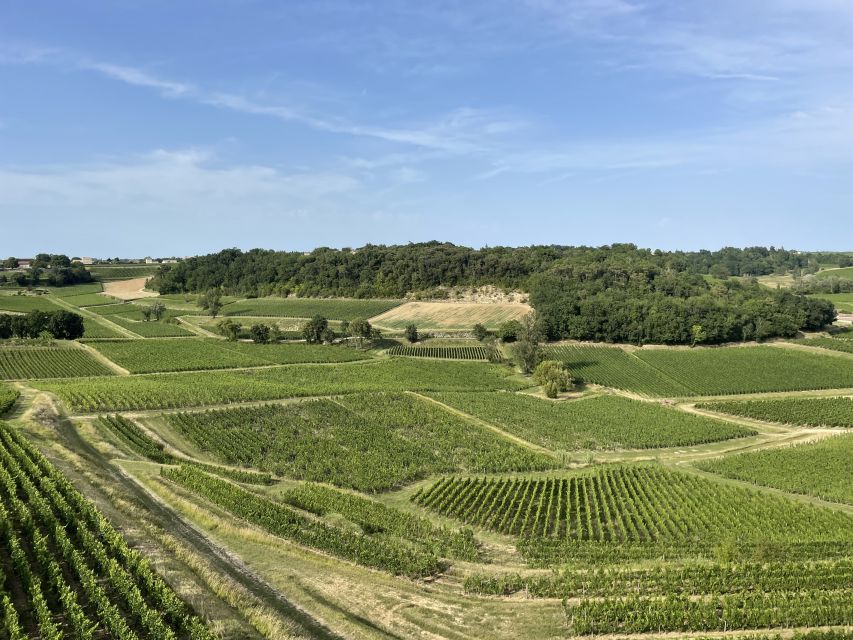 Saint-Emilion : half-day wine-tour into classified estates - First estate visit: classified wines, a full tour, and quarry theatre