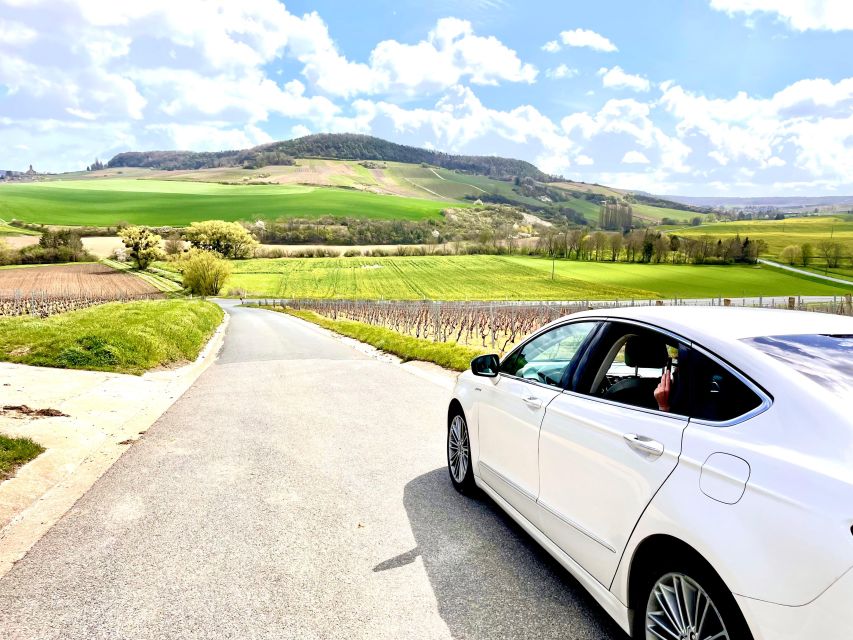 Saint-Emilion : half-day wine-tour into classified estates - Second estate: vineyard and cellar time plus vinification talk
