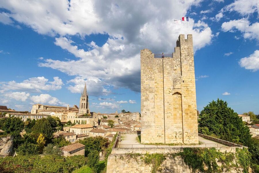 Saint-Emilion : half-day wine-tour into classified estates - Who should book this Saint-Émilion classified estates tour?
