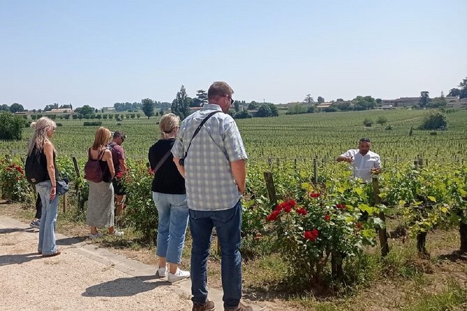 Saint Emilion Morning Wine Tour - Winery & Tastings from Bordeaux - Pace, comfort, and the one thing you must plan for: no lunch