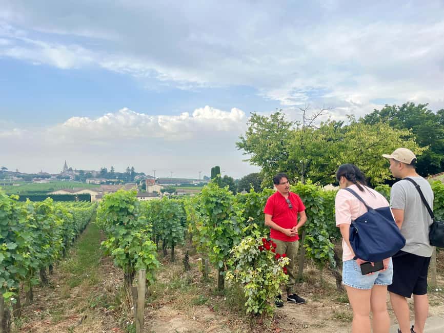 Saint-Émilion & Pomerol : Full day private tour classic car - Lunch Time and Picnic Options: Where the Schedule Gets Real