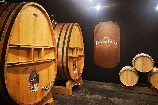 Saint-Emilion Private Full Day Wine Tour from Bordeaux - Key Points Before You Go
