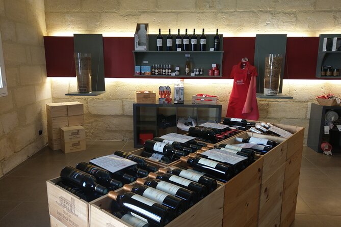 Saint-Emilion Private Full Day Wine Tour from Bordeaux - A Private Saint-Émilion Day That Runs Like a Plan
