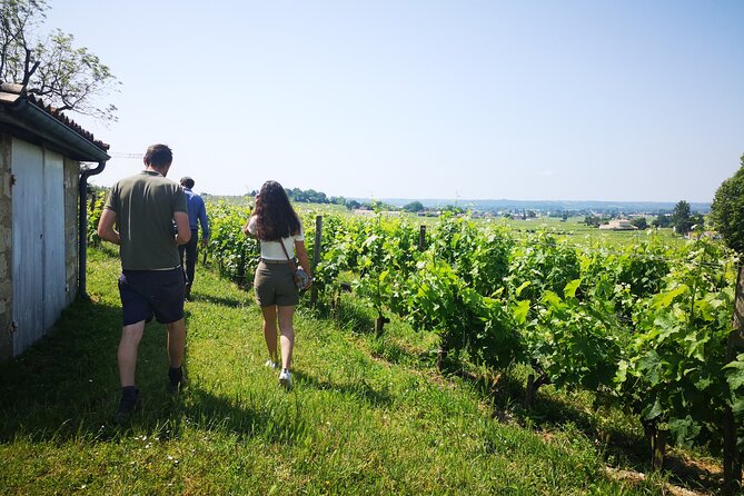 Saint-Emilion Private Full Day Wine Tour from Bordeaux - Price and Value: Is $612.72 Worth It for a Private Day?