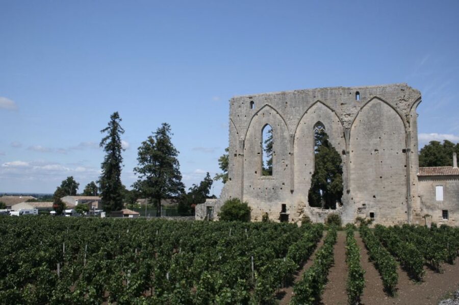 Saint-Émilion: Private Walking Tour & Magnificent Views - A private guide means you set the pace (and the priorities)