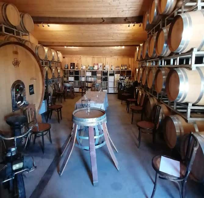 Saint-Emilion : Tasting of 4 wines in a family vineyard - Key Highlights You’ll Want to Know