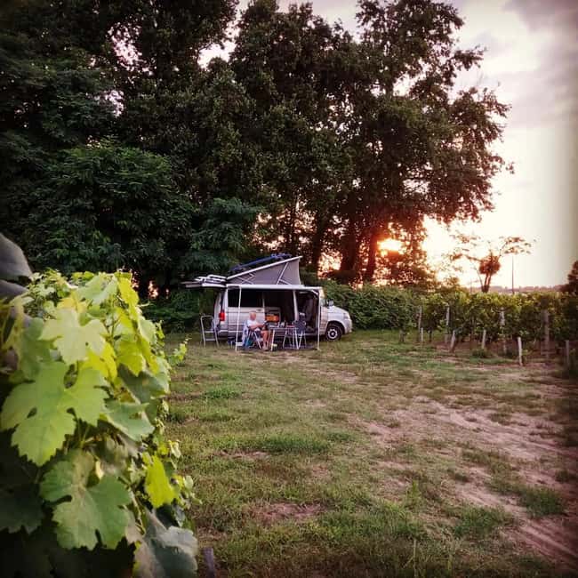 Saint-Emilion : Tasting of 4 wines in a family vineyard - Who This Wine Tasting Is Best For