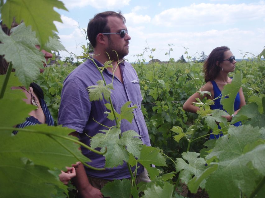 Saint-Émilion: Vineyard Walking Tour and Tasting - Key things that make this tour worth your time
