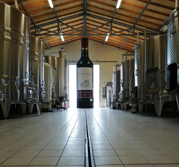 Saint-Émilion: Vineyard Walking Tour and Tasting - Meeting the family at the estate: where to go and how to arrive