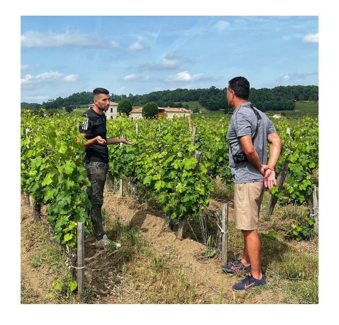 Saint-Émilion: Vineyard Walking Tour and Tasting - Barrel cellar aging: where patience shows up