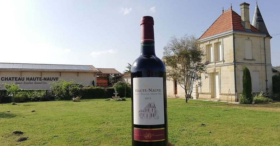 Saint-Émilion: Vineyard Walking Tour and Tasting - The tasting: four Saint-Émilion wines, including two Grand Cru