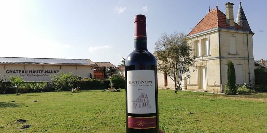 Saint-Émilion: Vineyard Walking Tour and Tasting - Price and what you really get for $29