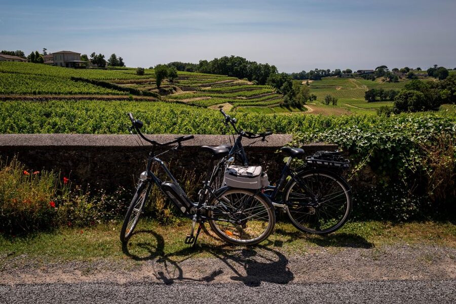 Saint-Émilion: Wine Tour by Electric Bike and Lunch - Tips to get the best day (and waste less wine)