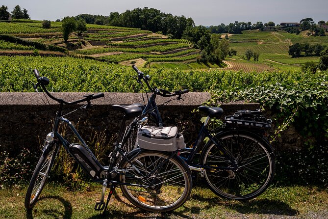 Saint-Émilion Wine Tour By Premium Electric Bike, Lunch Included - Key points worth noting