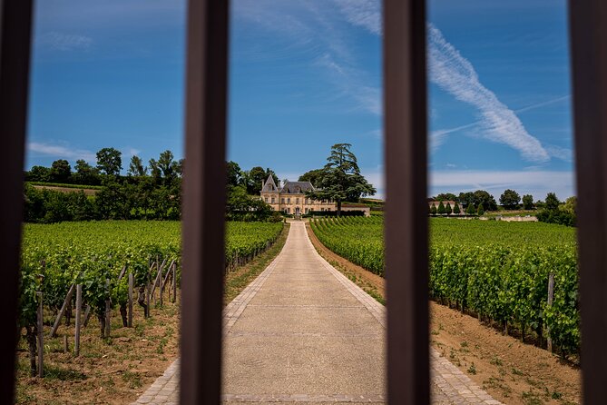 Saint-Émilion Wine Tour By Premium Electric Bike, Lunch Included - Chateau Rol Valentin: family-run Grand Cru visit and a proper tasting